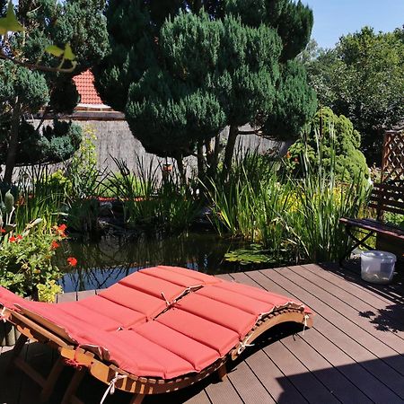 Ferienhaus Mit Mediterraner Terrasse Mullrose Exterior photo